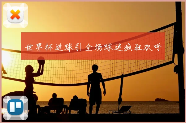 世界杯进球引全场球迷疯狂欢呼